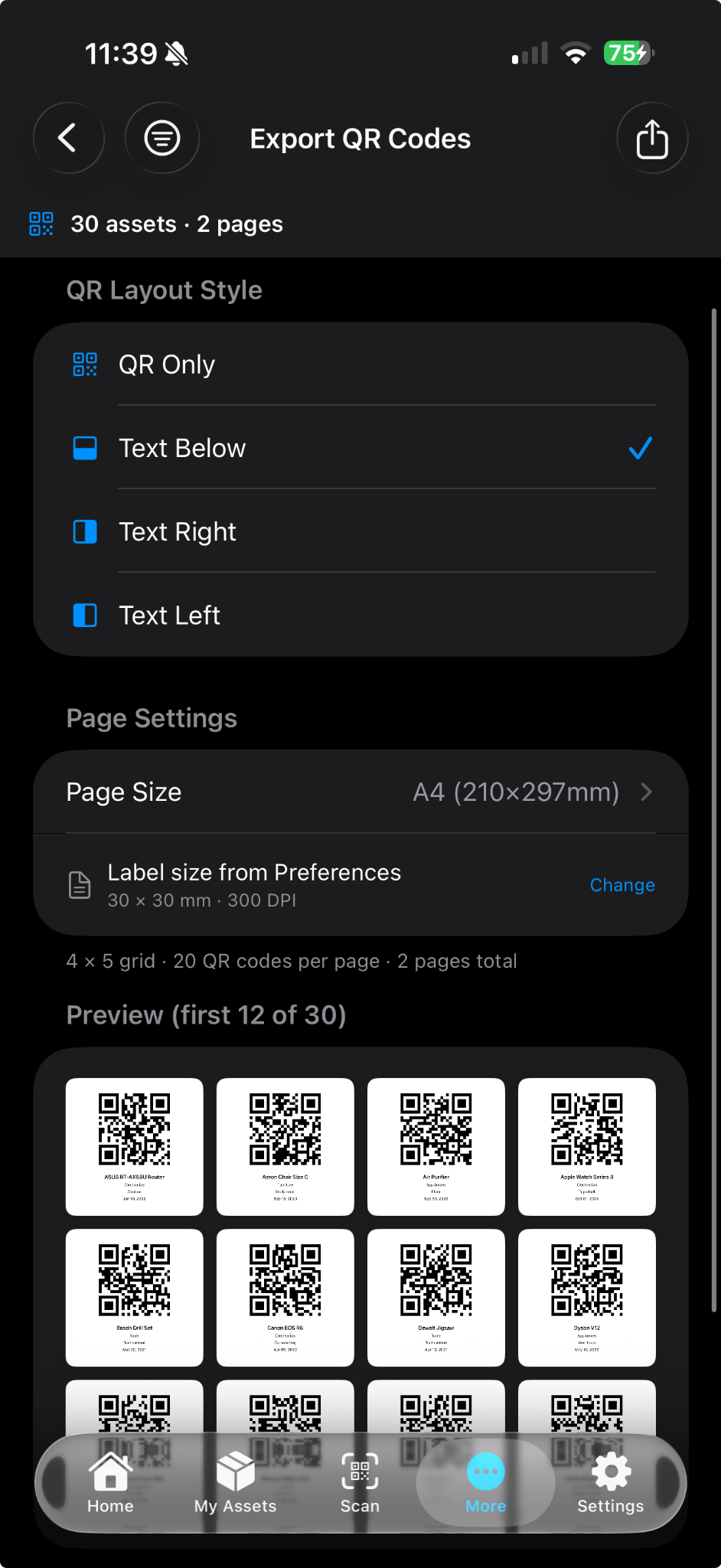 QR export preview